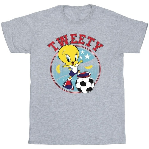 Abbigliamento Bambina T-shirts a maniche lunghe Dessins Animés Tweety Football Circle Grigio
