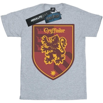 Abbigliamento Donna T-shirts a maniche lunghe Harry Potter Gryffindor Crest Flat Grigio