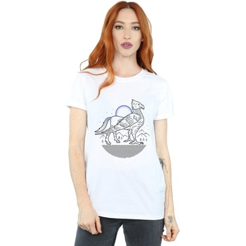 Abbigliamento Donna T-shirts a maniche lunghe Harry Potter Buckbeak Line Art Bianco
