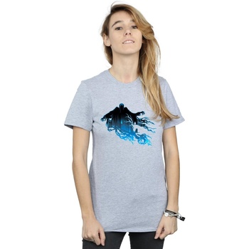Abbigliamento Donna T-shirts a maniche lunghe Harry Potter Dementor Silhouette Grigio