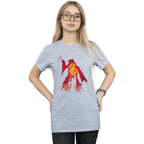 Abbigliamento Donna T-shirts a maniche lunghe Harry Potter Dumbledore Silhouette Grigio