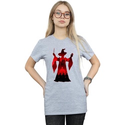 Abbigliamento Donna T-shirts a maniche lunghe Harry Potter Minerva McGonagall Silhouette Grigio