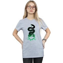 Abbigliamento Donna T-shirts a maniche lunghe Harry Potter Nagini Silhouette Grigio