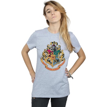 Abbigliamento Donna T-shirts a maniche lunghe Harry Potter Hogwarts Crest Gold Ink Grigio