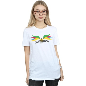 Abbigliamento Donna T-shirts a maniche lunghe Harry Potter Snitch Wings Pastels Bianco