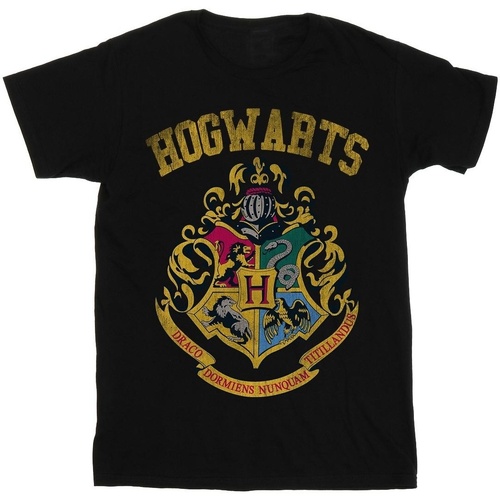 Abbigliamento Donna T-shirts a maniche lunghe Harry Potter Hogwarts Varsity Nero