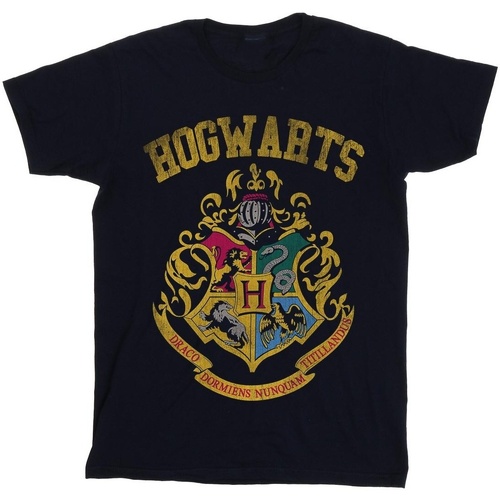 Abbigliamento Donna T-shirts a maniche lunghe Harry Potter Hogwarts Varsity Blu