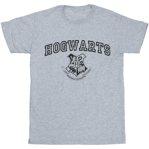 Abbigliamento Donna T-shirts a maniche lunghe Harry Potter Hogwarts Crest Grigio