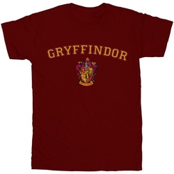 Abbigliamento Donna T-shirts a maniche lunghe Harry Potter Gryffindor Crest Multicolore