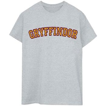 Abbigliamento Donna T-shirts a maniche lunghe Harry Potter Collegial Gryffindor Grigio