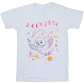 Abbigliamento Donna T-shirts a maniche lunghe Harry Potter Owl Letter Bianco