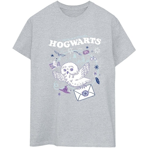 Abbigliamento Donna T-shirts a maniche lunghe Harry Potter Owl Letter From Hogwarts Grigio
