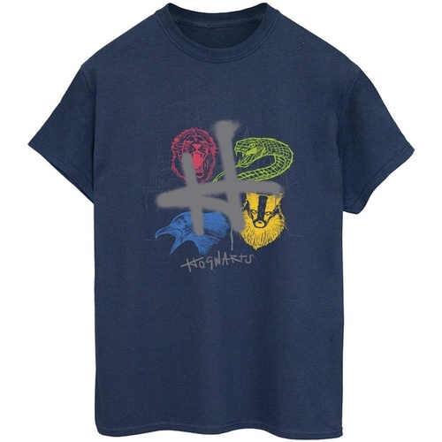 Abbigliamento Donna T-shirts a maniche lunghe Harry Potter Emblems H Spray Blu