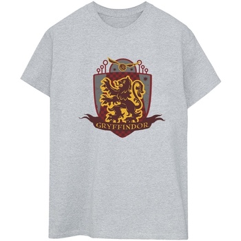 Abbigliamento Donna T-shirts a maniche lunghe Harry Potter Gryffindor Chest Badge Grigio