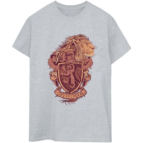 Abbigliamento Donna T-shirts a maniche lunghe Harry Potter Gryffindor Sketch Crest Grigio