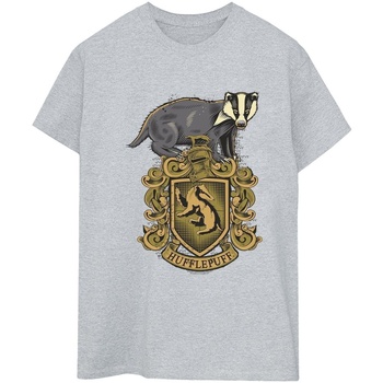 Abbigliamento Donna T-shirts a maniche lunghe Harry Potter Hufflepuff Sketch Crest Grigio