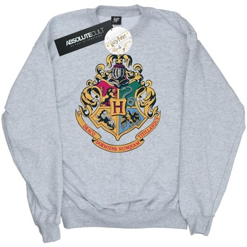 Abbigliamento Uomo Felpe Harry Potter Hogwarts Crest Gold Ink Grigio
