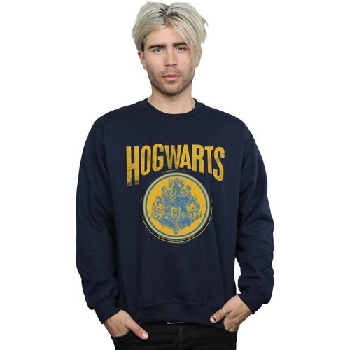 Abbigliamento Uomo Felpe Harry Potter Hogwarts Circle Crest Blu