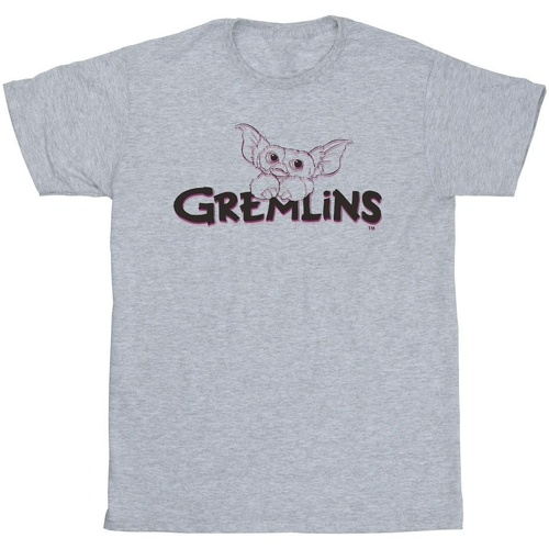 Abbigliamento Uomo T-shirts a maniche lunghe Gremlins Logo Line Grigio