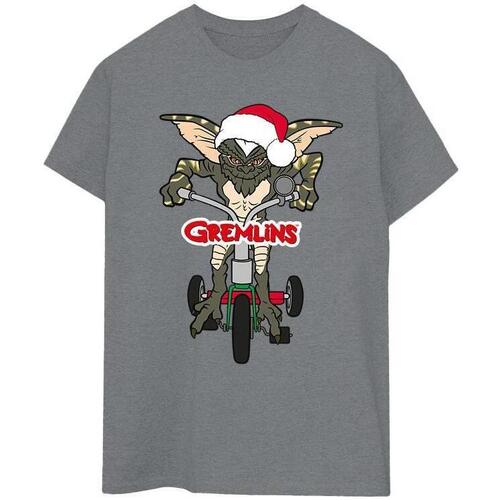 Abbigliamento Uomo T-shirts a maniche lunghe Gremlins Bike Logo Grigio