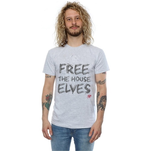 Abbigliamento Uomo T-shirts a maniche lunghe Harry Potter Dobby Free The House Elves Grigio