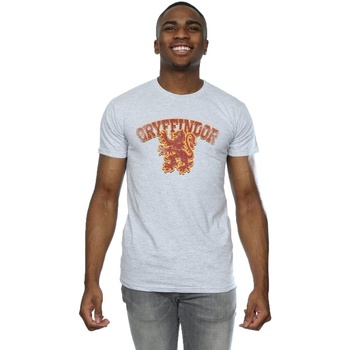 Abbigliamento Uomo T-shirts a maniche lunghe Harry Potter Gryffindor Sport Emblem Grigio