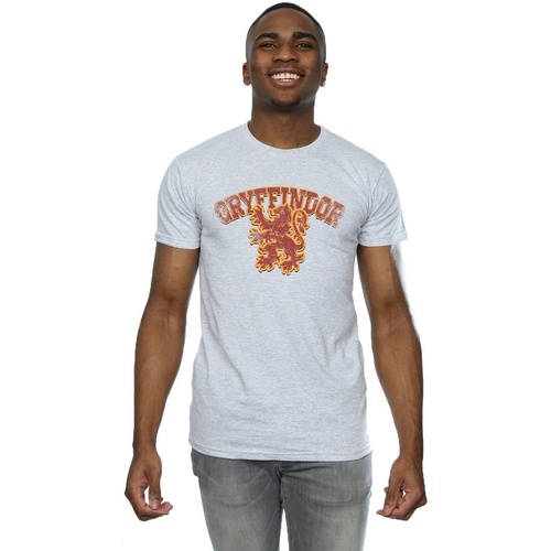 Abbigliamento Uomo T-shirts a maniche lunghe Harry Potter Gryffindor Sport Emblem Grigio