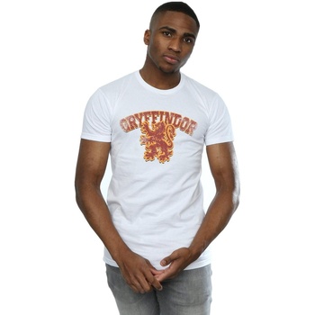 Abbigliamento Uomo T-shirts a maniche lunghe Harry Potter Gryffindor Sport Emblem Bianco