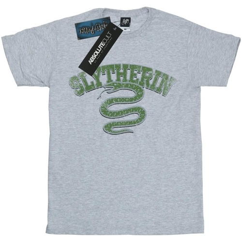 Abbigliamento Uomo T-shirts a maniche lunghe Harry Potter Slytherin Sport Emblem Grigio
