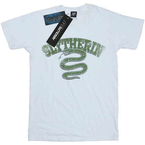 Abbigliamento Uomo T-shirts a maniche lunghe Harry Potter Slytherin Sport Emblem Bianco