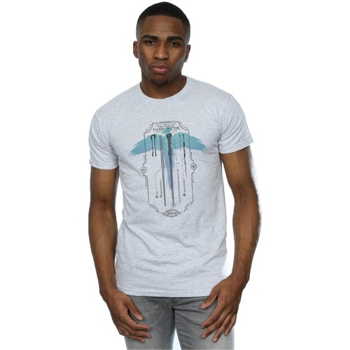 Abbigliamento Uomo T-shirts a maniche lunghe Harry Potter Garrick Ollivander The Wand Grigio