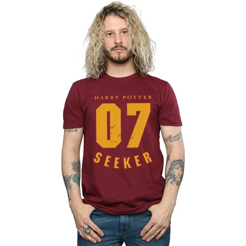 Abbigliamento Uomo T-shirts a maniche lunghe Harry Potter Seeker 07 Multicolore