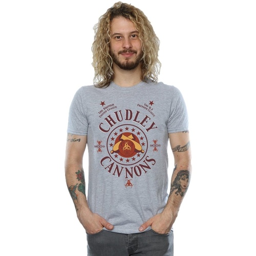Abbigliamento Uomo T-shirts a maniche lunghe Harry Potter Chudley Cannons Logo Grigio