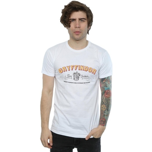 Abbigliamento Uomo T-shirts a maniche lunghe Harry Potter Gryffindor Team Quidditch Bianco