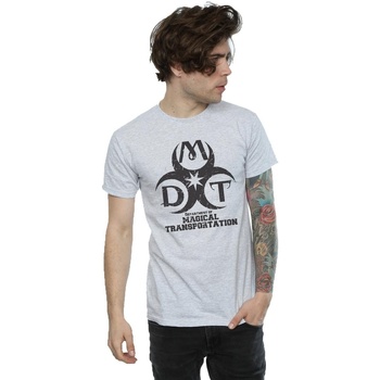 Abbigliamento Uomo T-shirts a maniche lunghe Harry Potter Department Of Magical Transportation Logo Grigio