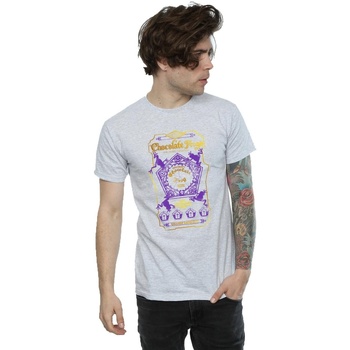 Abbigliamento Uomo T-shirts a maniche lunghe Harry Potter Chocolate Frogs Coloured Label Grigio