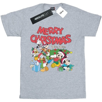 Abbigliamento Bambina T-shirts a maniche lunghe Disney Mickey And Friends Winter Wishes Grigio