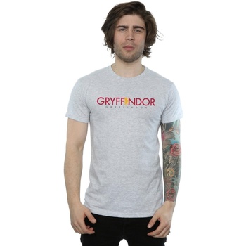 Abbigliamento Uomo T-shirts a maniche lunghe Harry Potter Gryffindor Text Grigio