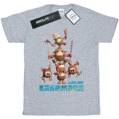 Abbigliamento Bambino T-shirt maniche corte Disney Moana Fear The Kakamora Grigio
