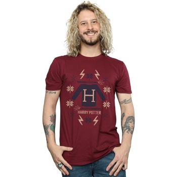 Abbigliamento Uomo T-shirts a maniche lunghe Harry Potter Christmas Knit Multicolore
