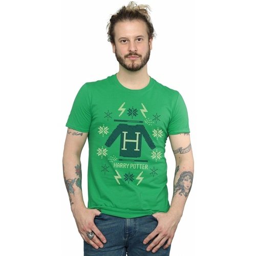 Abbigliamento Uomo T-shirts a maniche lunghe Harry Potter Christmas Knit Verde