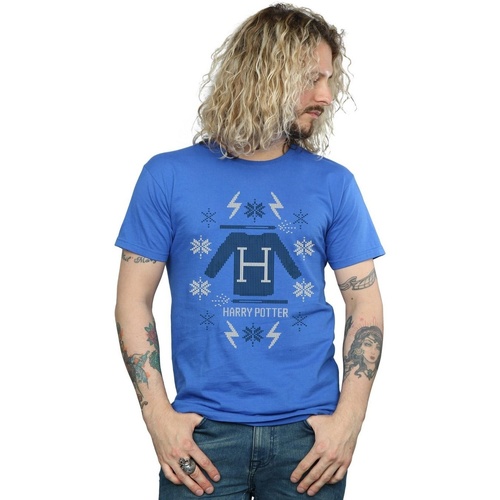 Abbigliamento Uomo T-shirts a maniche lunghe Harry Potter Christmas Knit Blu