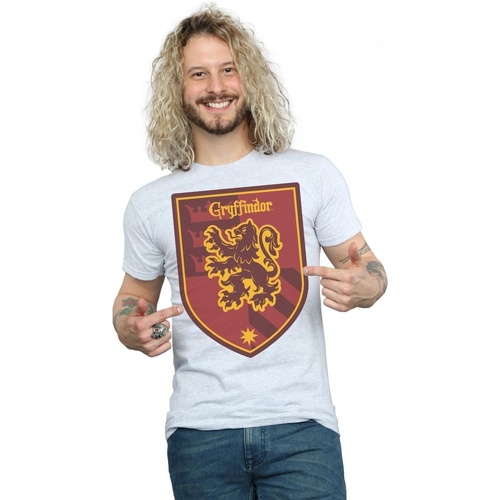 Abbigliamento Uomo T-shirts a maniche lunghe Harry Potter Gryffindor Crest Flat Grigio