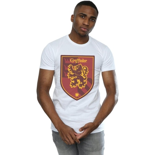 Abbigliamento Uomo T-shirts a maniche lunghe Harry Potter Gryffindor Crest Flat Bianco