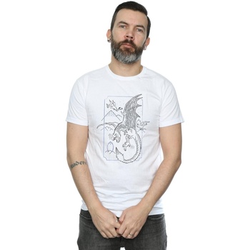 Abbigliamento Uomo T-shirts a maniche lunghe Harry Potter Dragon Line Art Bianco