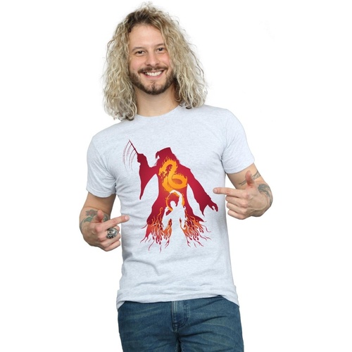 Abbigliamento Uomo T-shirts a maniche lunghe Harry Potter Dumbledore Silhouette Grigio