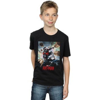 Abbigliamento Bambino T-shirt maniche corte Marvel Studios Ant-Man Poster Nero