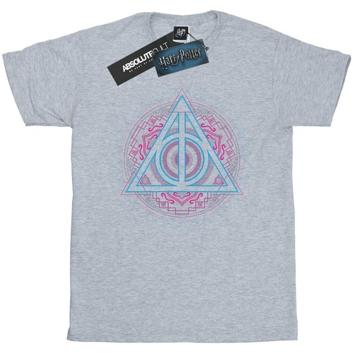 Abbigliamento Uomo T-shirts a maniche lunghe Harry Potter Neon Deathly Hallows Grigio