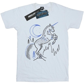 Abbigliamento Uomo T-shirts a maniche lunghe Harry Potter Unicorn Line Art Bianco