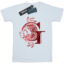 Abbigliamento Uomo T-shirts a maniche lunghe Harry Potter Gryffindor Lion Bianco
